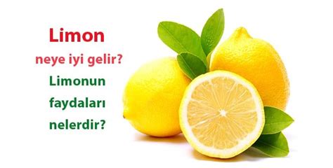 limon kolonyasının faydaları nelerdir